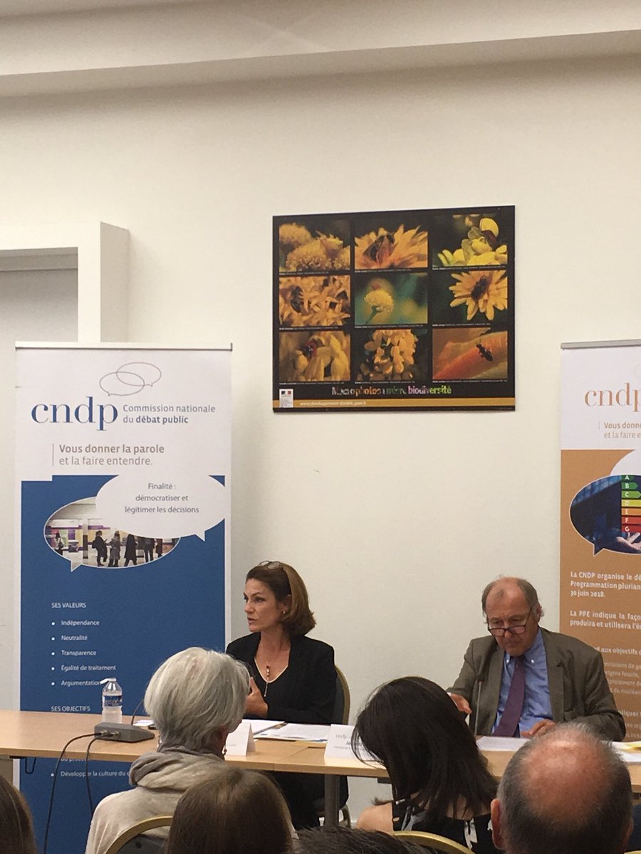 La présidente de la <a href="/CNDPDebatPublic/">Commission nationale du débat public (CNDP)</a> <a href="/Chantal_Jouanno/">Chantal Jouanno</a> souligne la maturité du public au cours du débat. #PPE #Confpresse