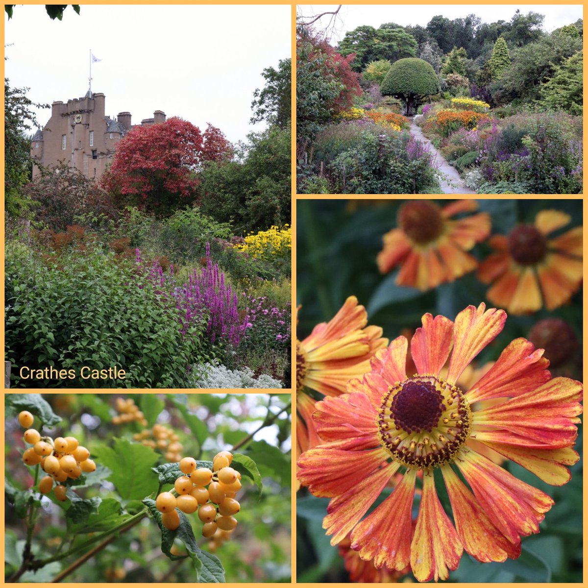 The walled #garden at Crathes Castle, #RoyalDeeside, #Aberdeenshire. @CrathesNTS   @N_T_S, @scottishgdns pic.twitter.com/SCWcM3D3MI