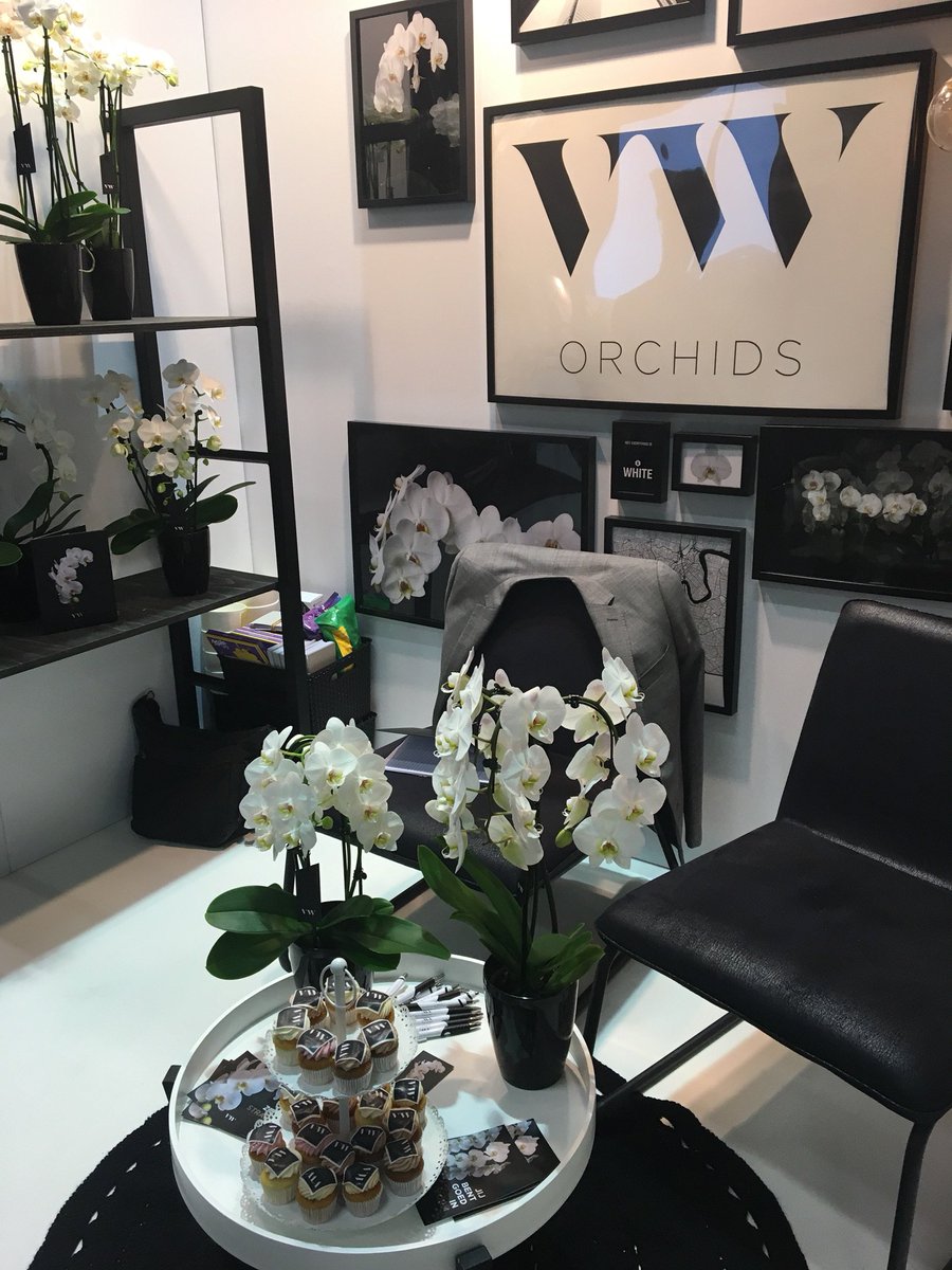 Pullposition's tweet photo. Beursupdate vanaf de @FloraHolland Autumn Fair! Vandaag en morgen zijn deze prachtige stands tot 15.00 uur te bezoeken. #pullposition #autumnfair @ArtisanOrchids @HoogBos @VwOrchids https://t.co/pXmBnan0Fy