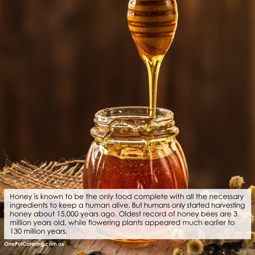 1PotCatering's tweet photo. Which came first -the 🐝 or the 🌼? 

-----------------
#honey #birthdays #opc #events #sydneyevents #sydney #eventplanners #weddingplanners #eventcatering #parties #celebration #sydneycbd #olympicpark #botany #innerwest #foodies #foodporn #love #passion #excellence https://t.co/PubWcSwui4