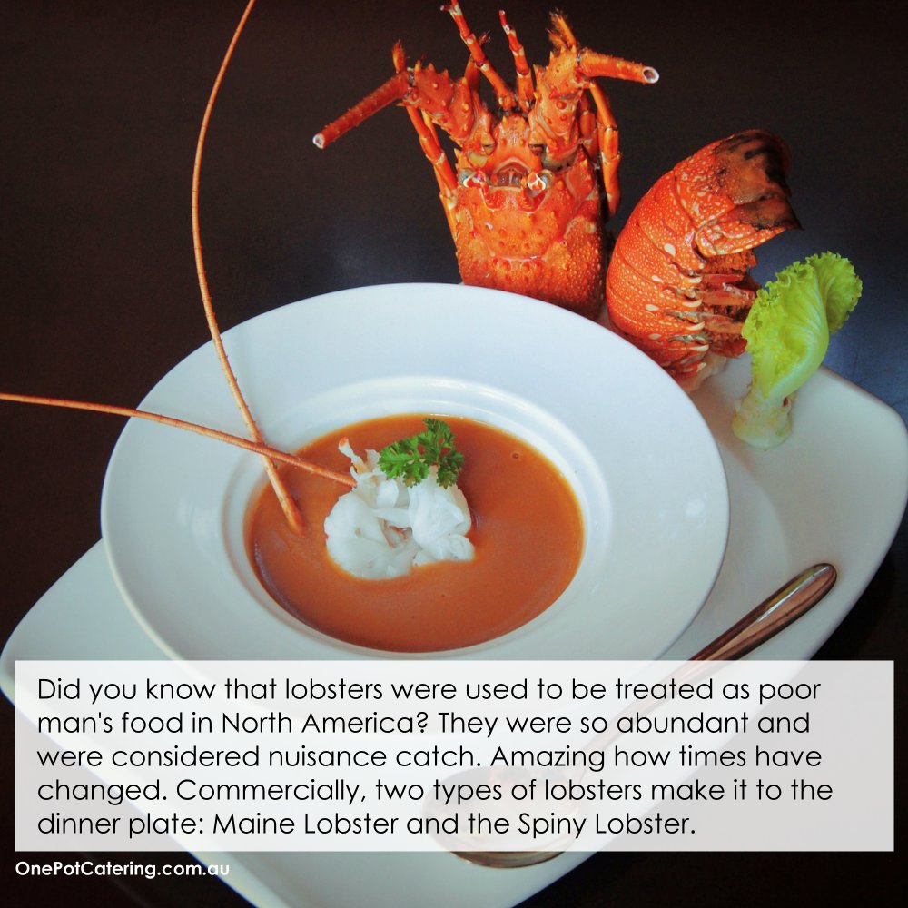 1PotCatering's tweet photo. How about lobster meat for your next corporate lunch? Ask us!

-----------------
#lobster #birthdays #opc #events #sydneyevents #sydney #eventplanners #weddingplanners #eventcatering #parties #celebration #sydneycbd #olympicpark #botany #innerwest #foodies #foodporn #love https://t.co/3D79zL60tH
