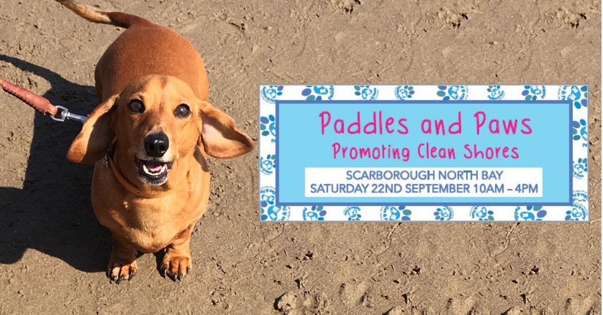 Who let the dogs out! Woof, woof, woof! 🐕🐾

A new dog friendly event comes to Scarborough North Bay

With a range of doggie fun including: dog shows, stalls &amp; a guest appearance from The Yorkshire Vet's Peter Wright! 

goo.gl/jbJDxo

<a href="/theyorkshirevet/">The Yorkshire Vet</a> 
@ScarboroCouncil