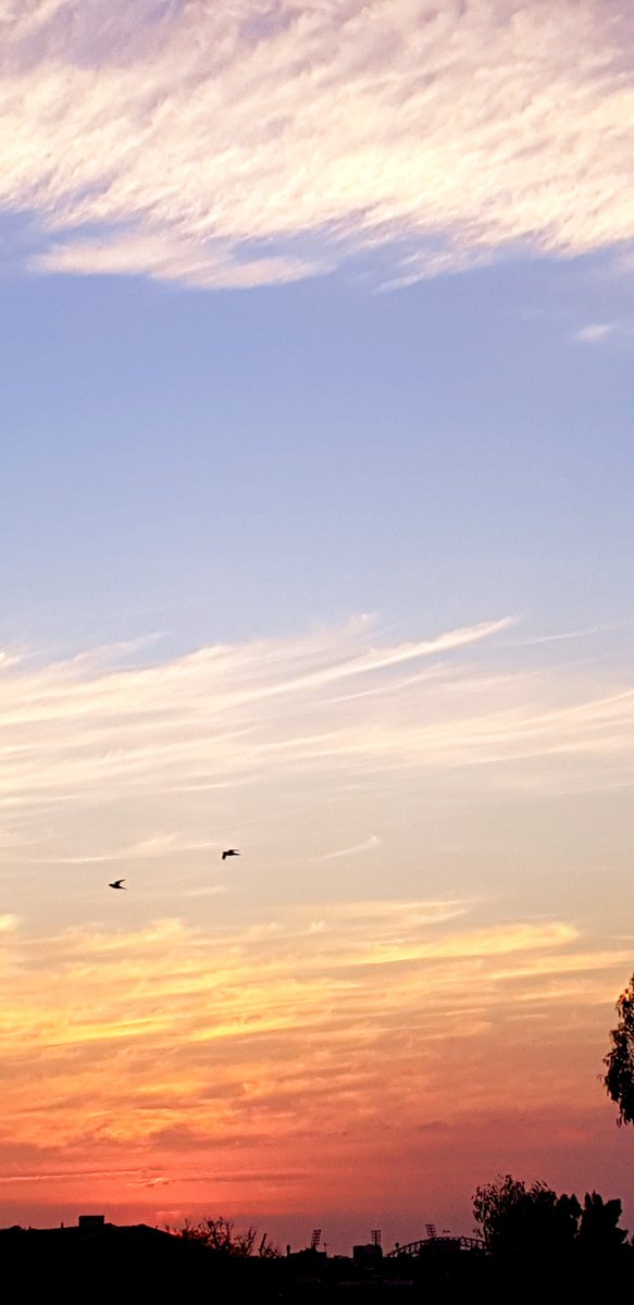 CherScheff's tweet photo. springtime colors in the morning sky #thatcloud #Wednesday https://t.co/xJcx4hyceB
