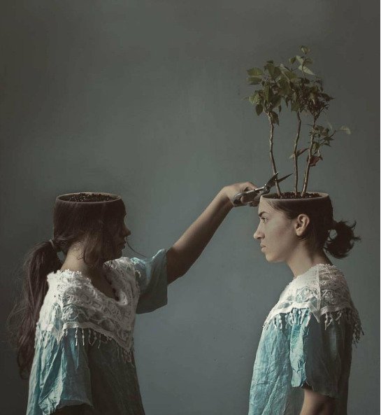 creative amazing 📸 samanehphoto 📡