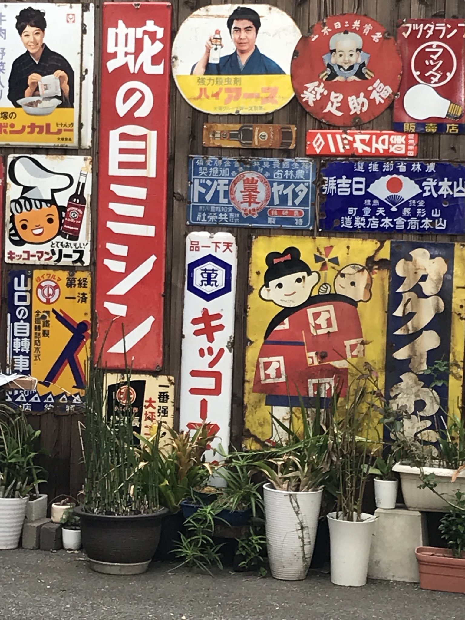 レトロ カクイわた(看板)