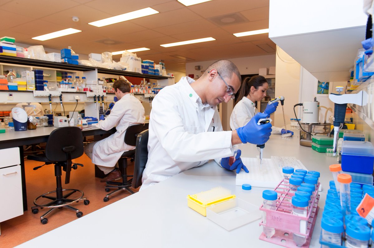 Dutch CardioVascular Alliance (@dcvalliance) on Twitter photo Todays press release about the <a href="/dcvalliance/">Dutch CardioVascular Alliance</a> #lancering #dcva
bit.ly/2QoSdLt Todays press release about the <a href="/dcvalliance/">Dutch CardioVascular Alliance</a> #lancering #dcva
bit.ly/2QoSdLt