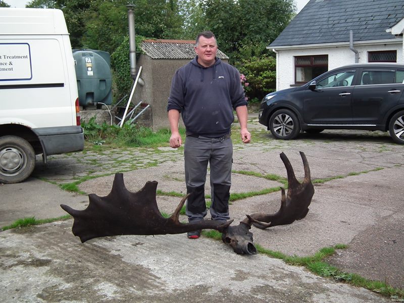 Giant Irish Elk Antlers nothinginbiology.org/2018/09/12/gia…