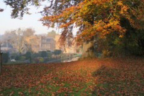 tobygardenfest's tweet photo. “The garden of love is green without limits and yields many fruits other than sorrow or joy. Love is beyond either condition without spring, without autumn it is always fresh”
Rumi @fordeabbey 15-16 SEPTEMBER https://t.co/p6bedHtSRp