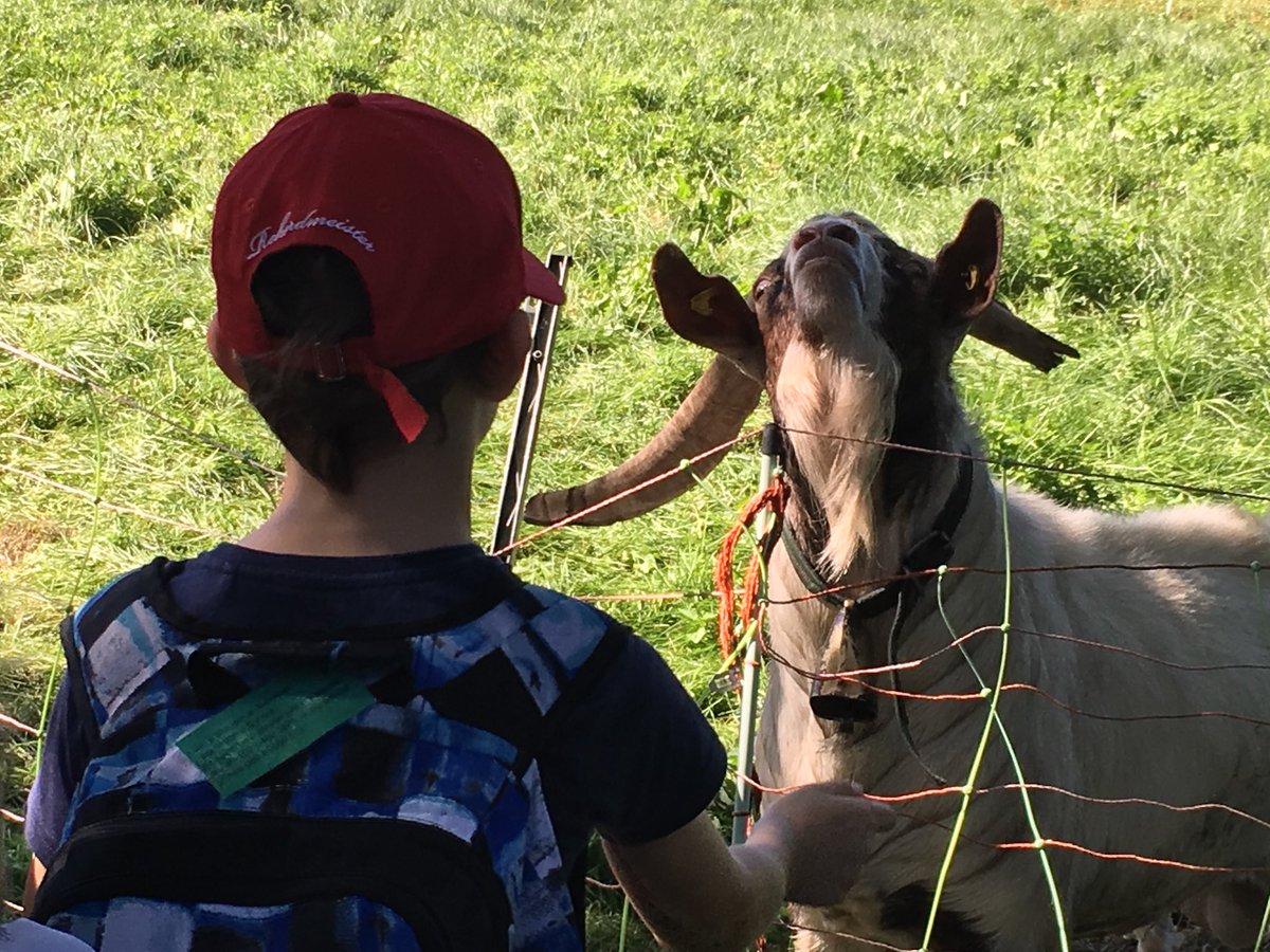 MsJenOrszag's tweet photo. Checking out the wildlife at Benediktbeuern #G3BISCC #bislearns #bispyp https://t.co/eMUPpWz0ej