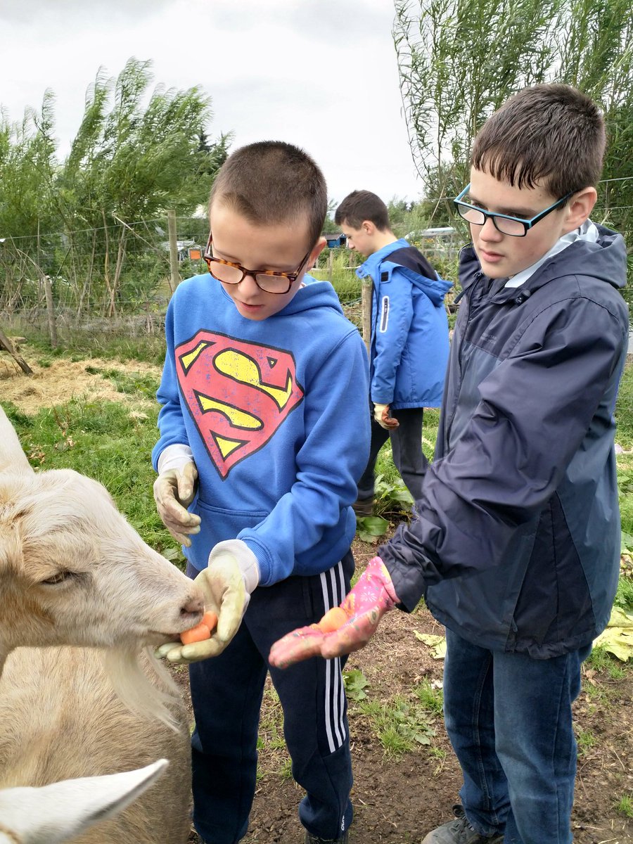 PerthAcademyOrganics tweet media