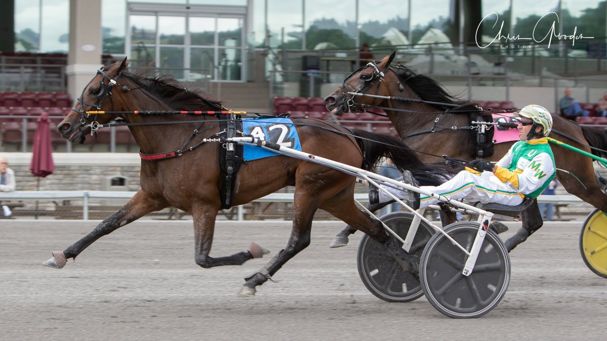 Joe_Zagari's tweet photo. #WindyCorner πΊπΈ #YankeeGlide won 3rd division #KeystoneClassic - 2yo Filly - at @MeadowsCasino with @WMikeWilder & @ErvMillerStable β±οΈ1:57.4 (29.4) over #NavaroneHanover and #WizardHawk
πΈ @CGoodenPhotos https://t.co/mup35Zvytp
