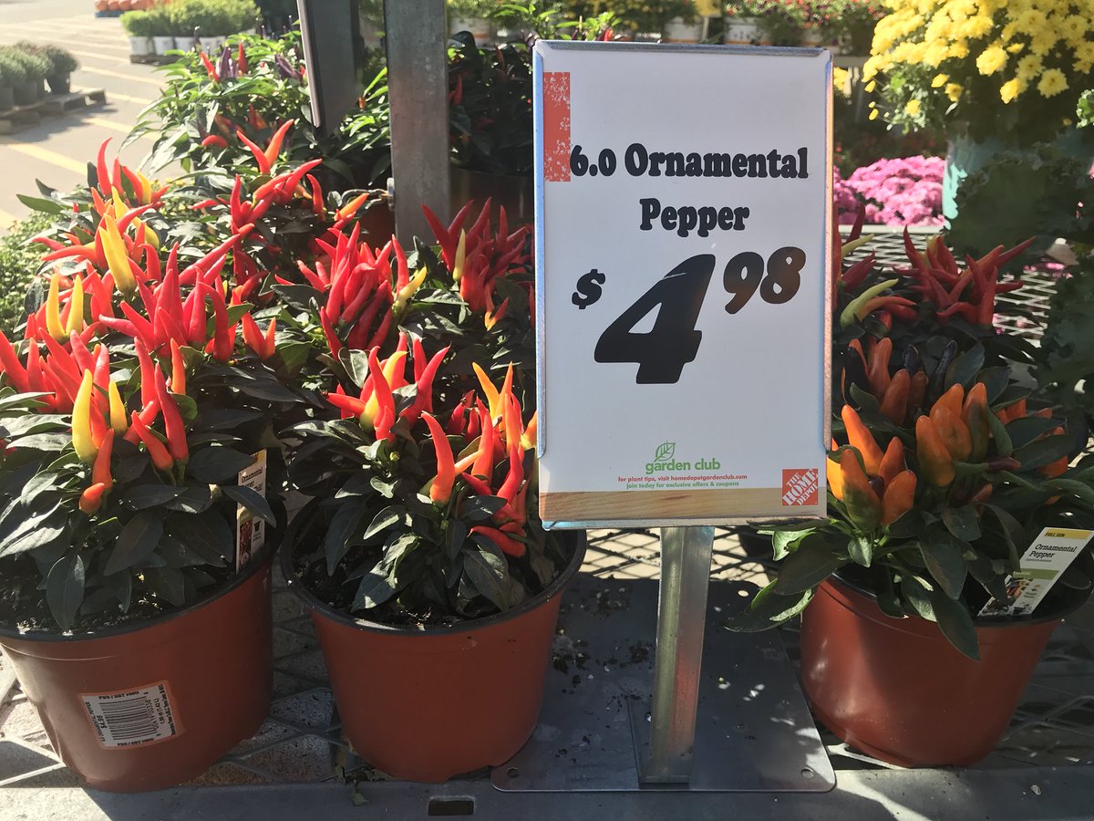 DDGrahamFlowers's tweet photo. Good morning Elk Grove Village! https://t.co/nV9JYN8SsZ