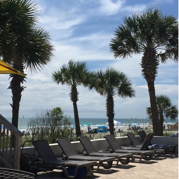 Cabanacafe2's tweet image. Meals under the sun next to the palm trees is something you can’t take for granted. #austinsrestaurants #oceanone #cabanacafe #beachviews #litchfieldinn #pawleysisland