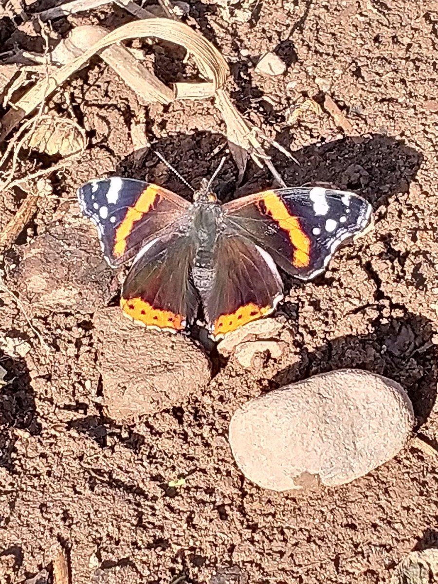 PerthAcademyOrganics tweet media