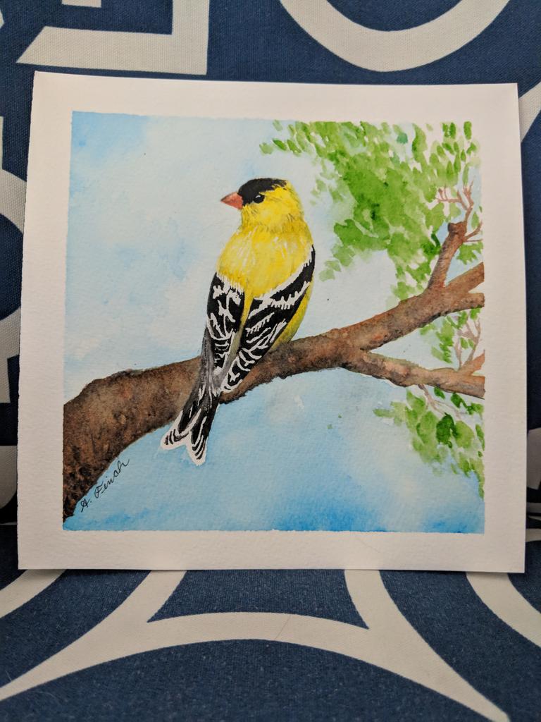 Finch_Minis's tweet photo. Finished goldfinch #watercolor. Very happy the way it turned out! 

#painting #casual https://t.co/tVxujFon7O