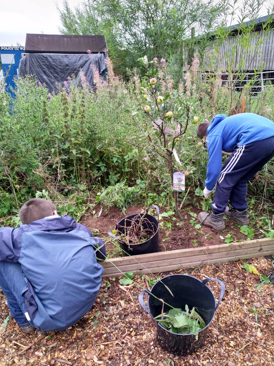 PerthAcademyOrganics tweet media