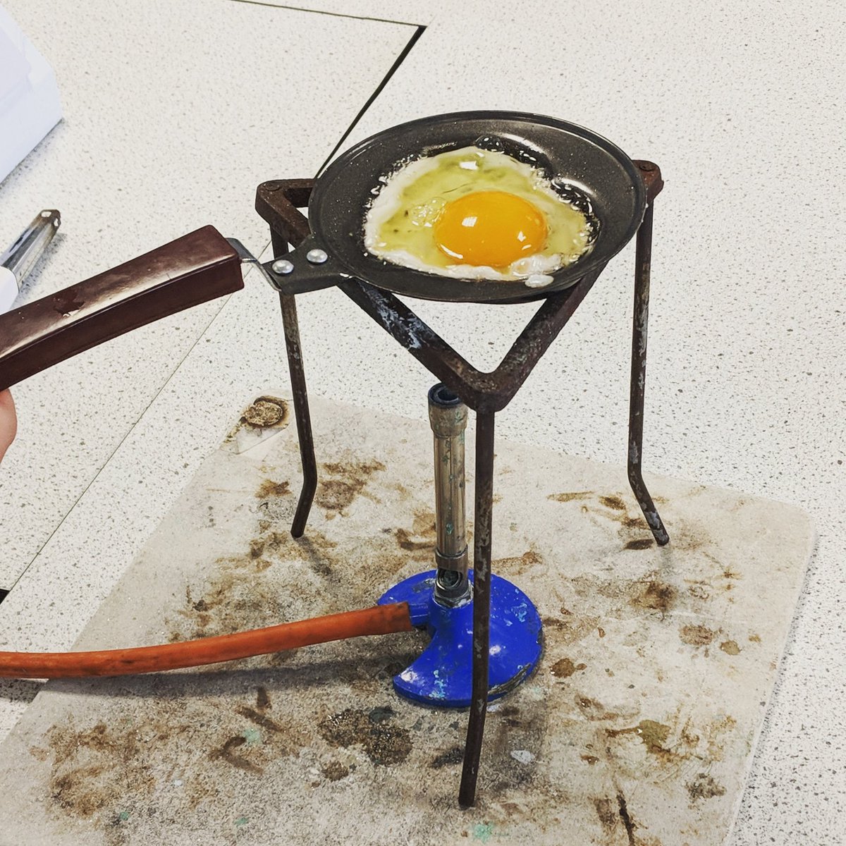 RowenaCB9's tweet photo. Higher Chemistry Proteins topic - today we fried an egg over a Bunsen to show how the protein molecules in the albumen change due to high temperatures π³π #higherchemistry #proteins #denaturing https://t.co/rGlEvsbjiw