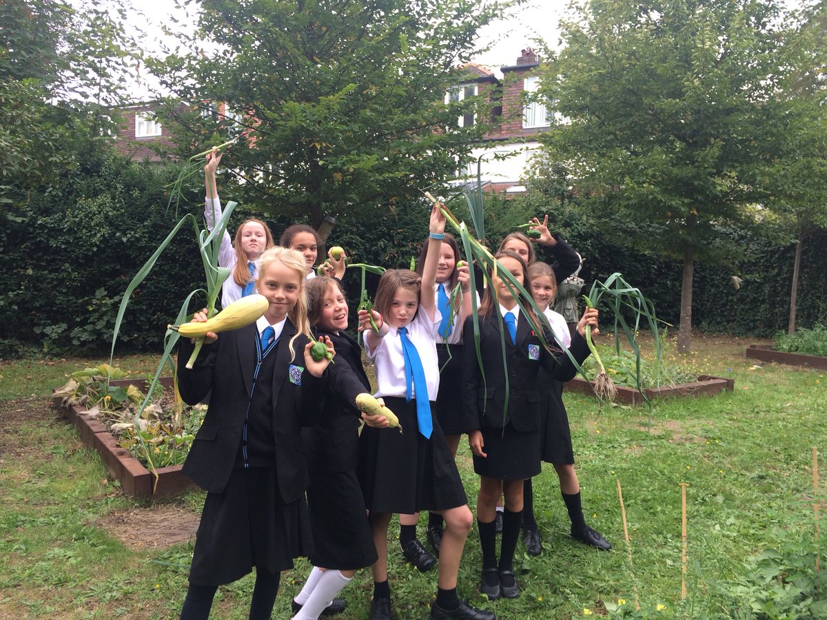 RPACatering's tweet photo. Kitchen garden club is a go!!! Picking Home frown vegetables from our garden to cook a soup. I love my job! @DonnaAfriyie @paulmundycastle @richmondparkac #Homegrown #organic #HealthyEating #SkillsForLife https://t.co/eJicyOAY9B