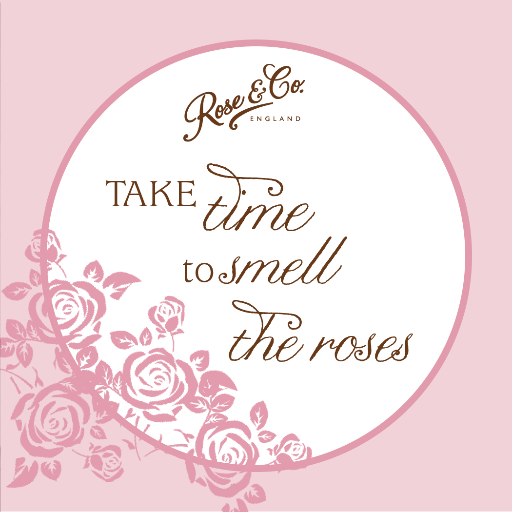 RoseandCompany's tweet photo. Sometimes you just need to take a step back and smell the roses. #reflect #mindfulness #happyhumpday https://t.co/MNkcQtYx1s