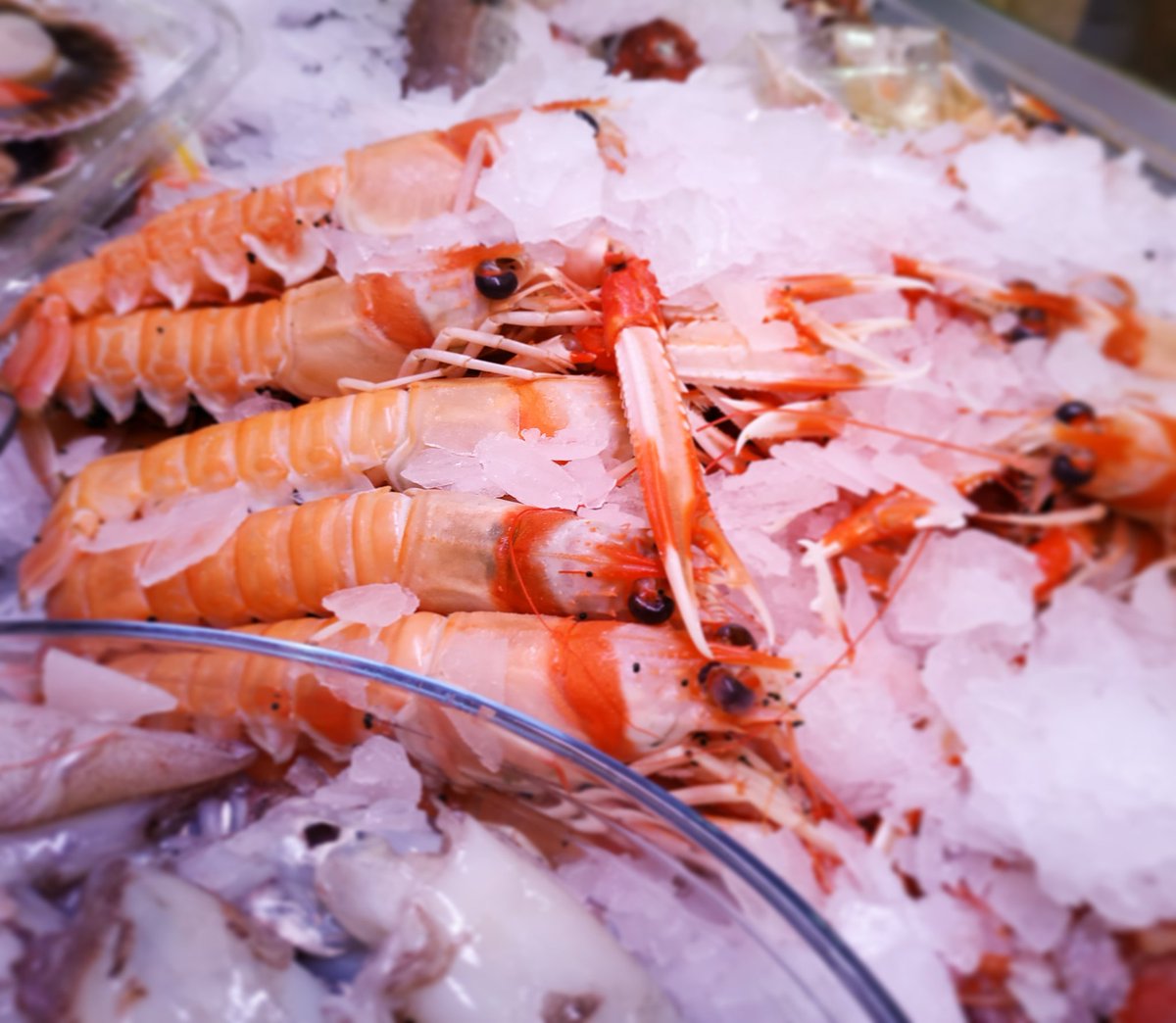 Cigalas fresquísimas!!! 
<a href="/Gastrobellver/">Enrique Bellver</a> <a href="/noidesur/">Marina Martínez</a> <a href="/Malagaenlamesa/">Málaga en la Mesa</a> <a href="/SaboraMalaga/">Sabor a Málaga</a> <a href="/AguaLeonor/">leonor garcia-agua</a>