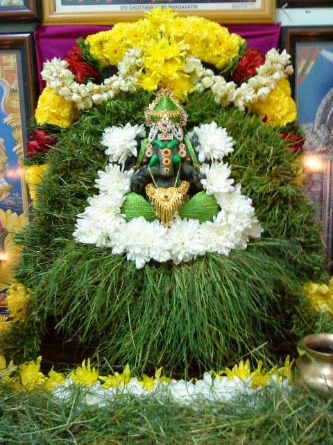 🔥Arugampul Homam🔥
Arugampul is considered  auspicious for Lord Ganapathy. Performing  rituals with this grass is highly beneficial as it is a powerful symbol  of regeneration, renewal, rebirth and fertility. 
goo.gl/w7fJQ9
#GaneshChaturthi2018 #GaneshChaturthi