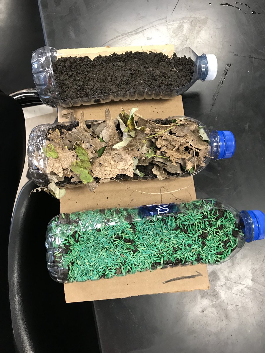 StreatFFA's tweet photo. Why does erosion matter? The AgScience students are currently understanding why controlling erosion is an important aspect in agriculture! #erosion #learningbydoing #agscience #teachag #soil #streatordawgs #foundationofalllife #nutrients #erodeaway #soillabs #SHSuccess https://t.co/sGWf69ftX9