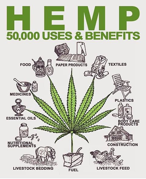 THC_SA's tweet photo. #LegalizeMarijuana https://t.co/pPnA4sc8Io