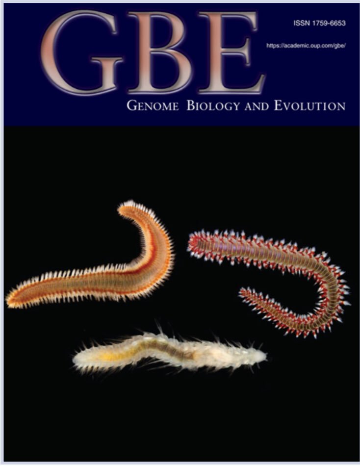 scimaven's tweet photo. Awesome #ToxinTuesday + #WormWednesday Mashup! Our first #HolfordLab #GenomeBiology&Evolution cover! Read the paper by lab members @aida_verdes and #DannySimpson that inspired it:Are Fireworms Venomous?
https://t.co/Pr5NMSIXIf @grcvenom https://t.co/BnOGdTBctW