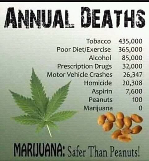 THC_SA's tweet photo. HIGH time to consider what is safe rather what is legal https://t.co/3RO65klFhp