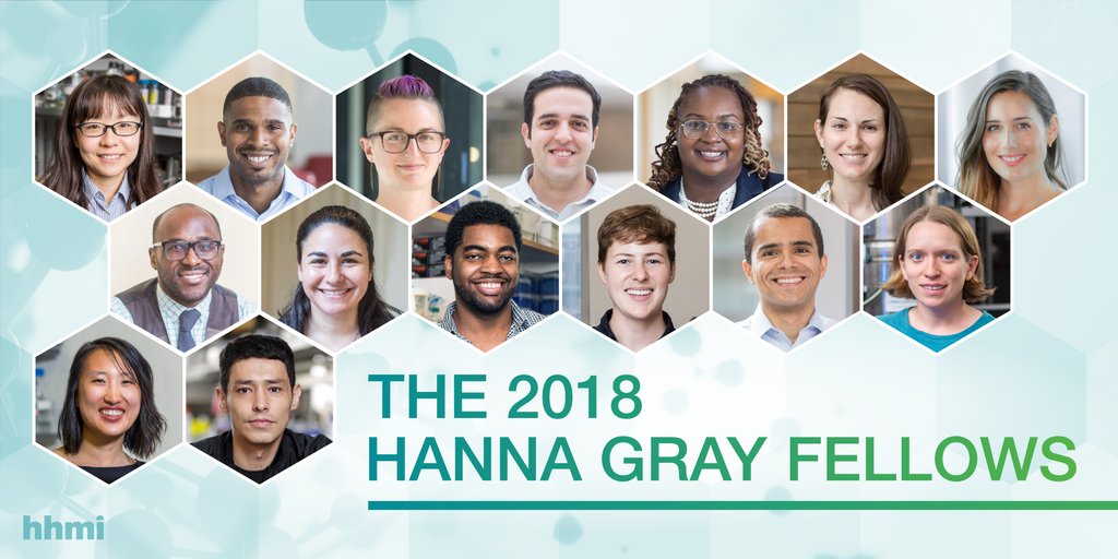 HHMI awards Hanna Gray fellowships to 15 exceptional early career scientists to support #diversity in science: bit.ly/2x1PorY   #HannaGrayFellows