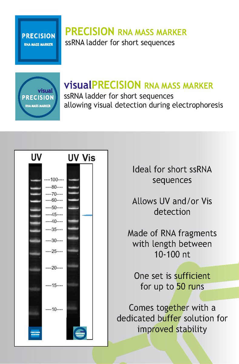 FUTUREsynth_pl's tweet image. Proudly introducing our new product - short ssRNA ladder!
