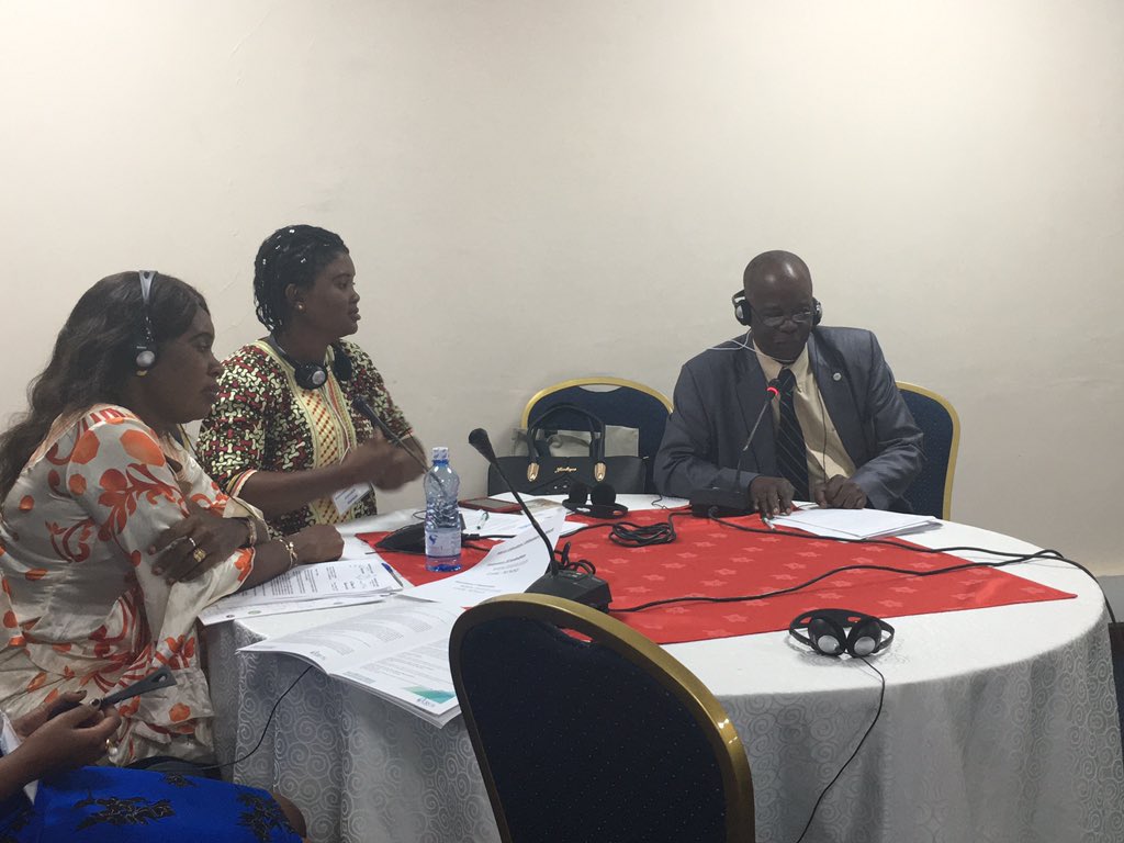 GaviCSO's tweet photo. La Plateforme de la Societe Civile de Guinee a proposé aux Parlementaires de participer aux journees de vaccination dans leur region d origine, et les a informés des calendriers pour les impliquer a long terme. 👍🏽 #gavicsoconneXions #conneXions18 https://t.co/KRR4r8TOf2