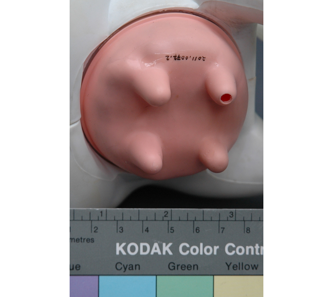 sh figuarts trunks xenoverse