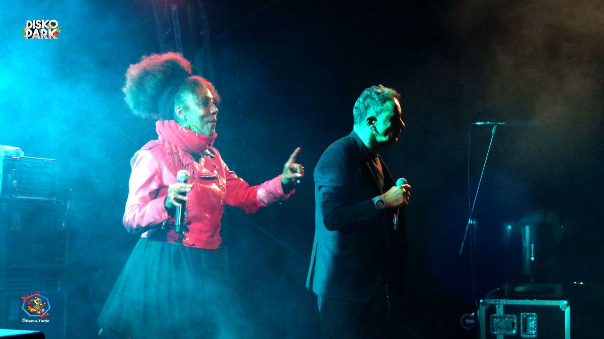 Disko Park tweet media