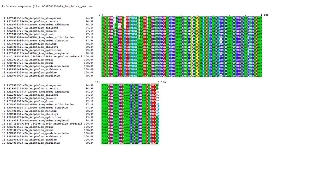 VBannotator's tweet image. TRX3, thioredoxin 3. 1 novel, 4 splits. #Anopheles #VBannotation