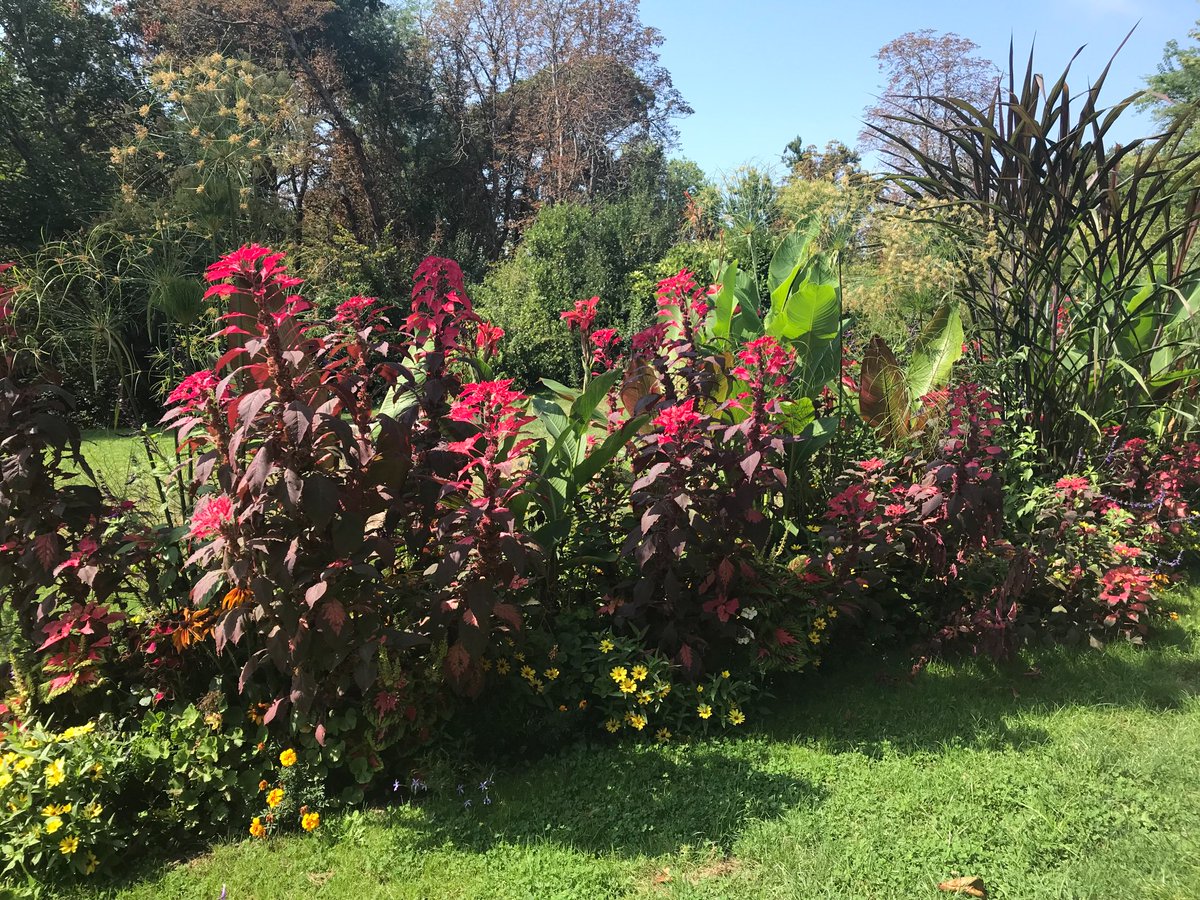 East Midlands in Bloom tweet media