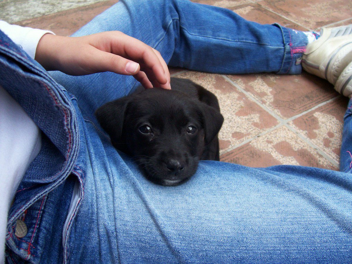 Tilly (✿ ♡‿♡)**(♡ω♡ ) ~♪ tweet media