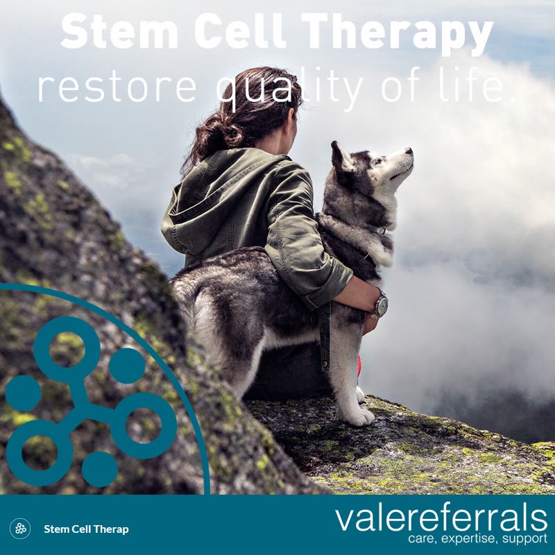 ValeReferrals's tweet image. Conditions we have treated with #stemcell therapy:
Degenerative Diseases
Tendon injuries or tendinopathies
Ligament Injuries
Hip and elbow dysplasia
Osteoarthritis
Certain spinal conditions 
Fracture Repair
Osteochondral Defects
 Please contact us with any questions 01453 547934