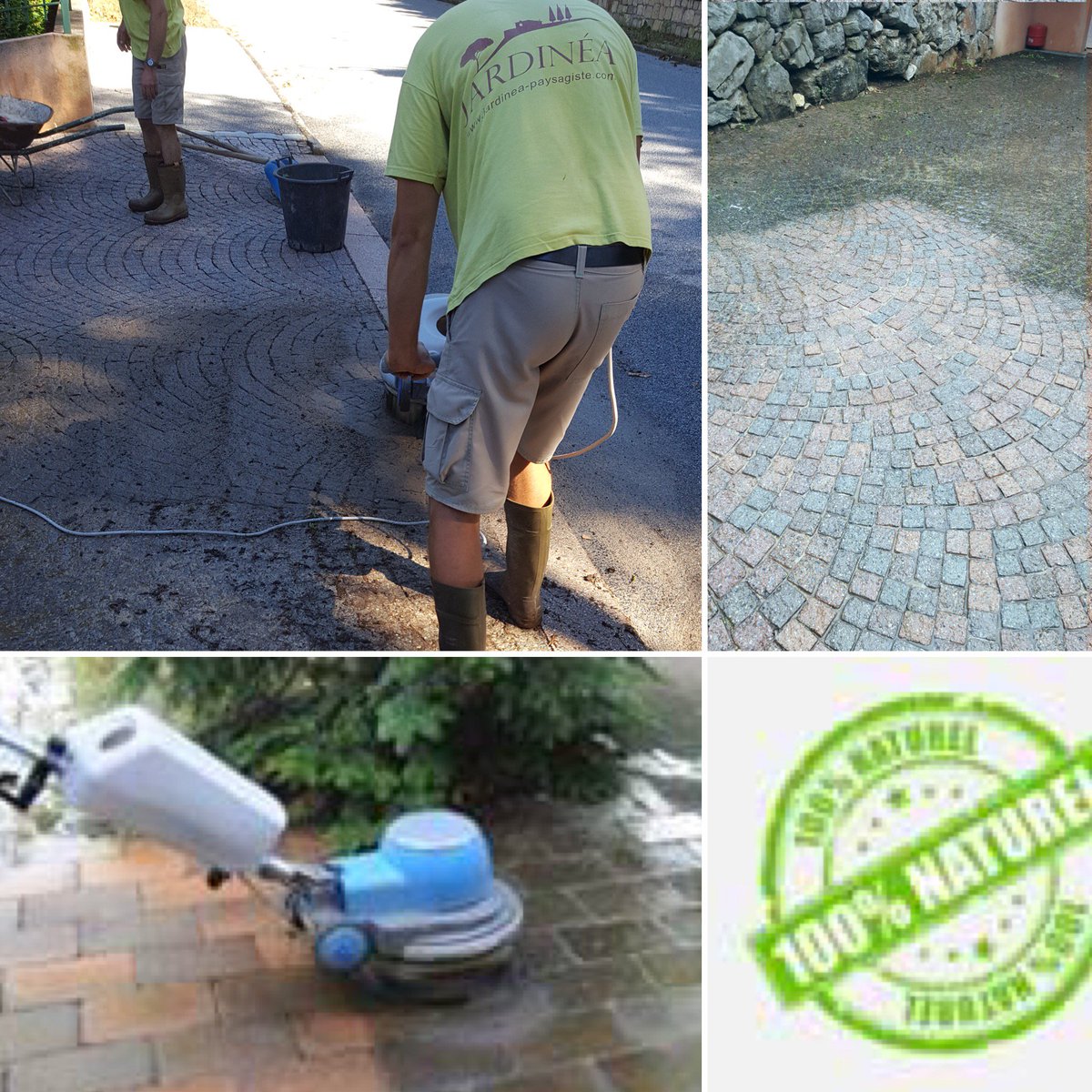 JARDINEA tweet media