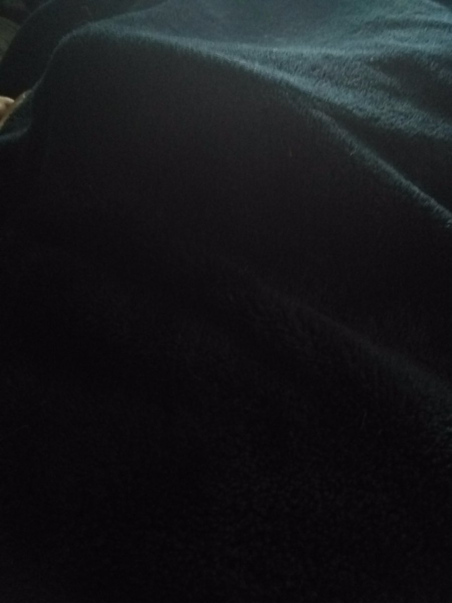 bigevil071's tweet photo. When ur so horny ur boner shows thru ur blanket. DM RT and follow
#dailydickpic #hornyaf #comerideme
@MilfyMontero @silveryreese @CupsGold @rruss1225 @Jaydyn40486 https://t.co/iPsQz3Vbah