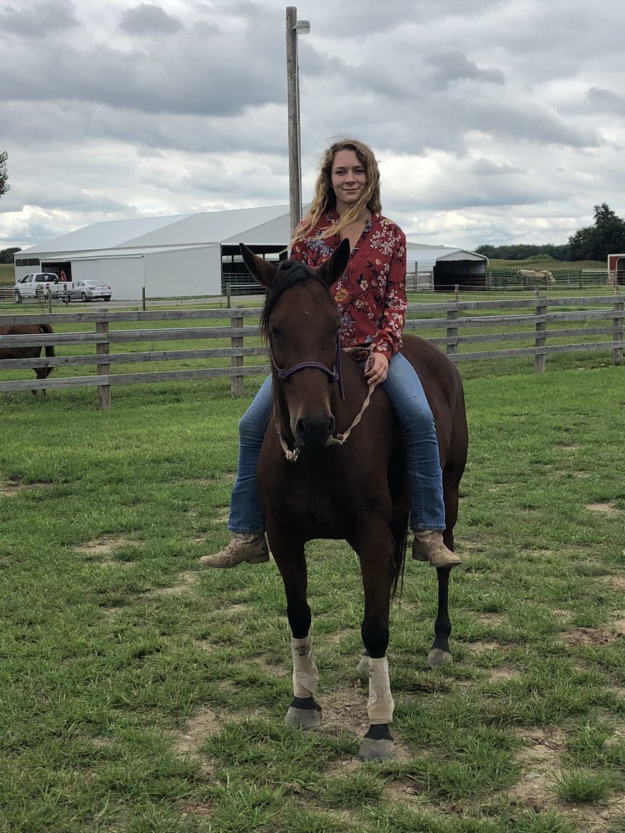 pariscoffin's tweet photo. I seriously got blessed with both of my babies❤️ #colttraining #wrangler #maebry #AQHA #babies https://t.co/vO1rqk2vjf