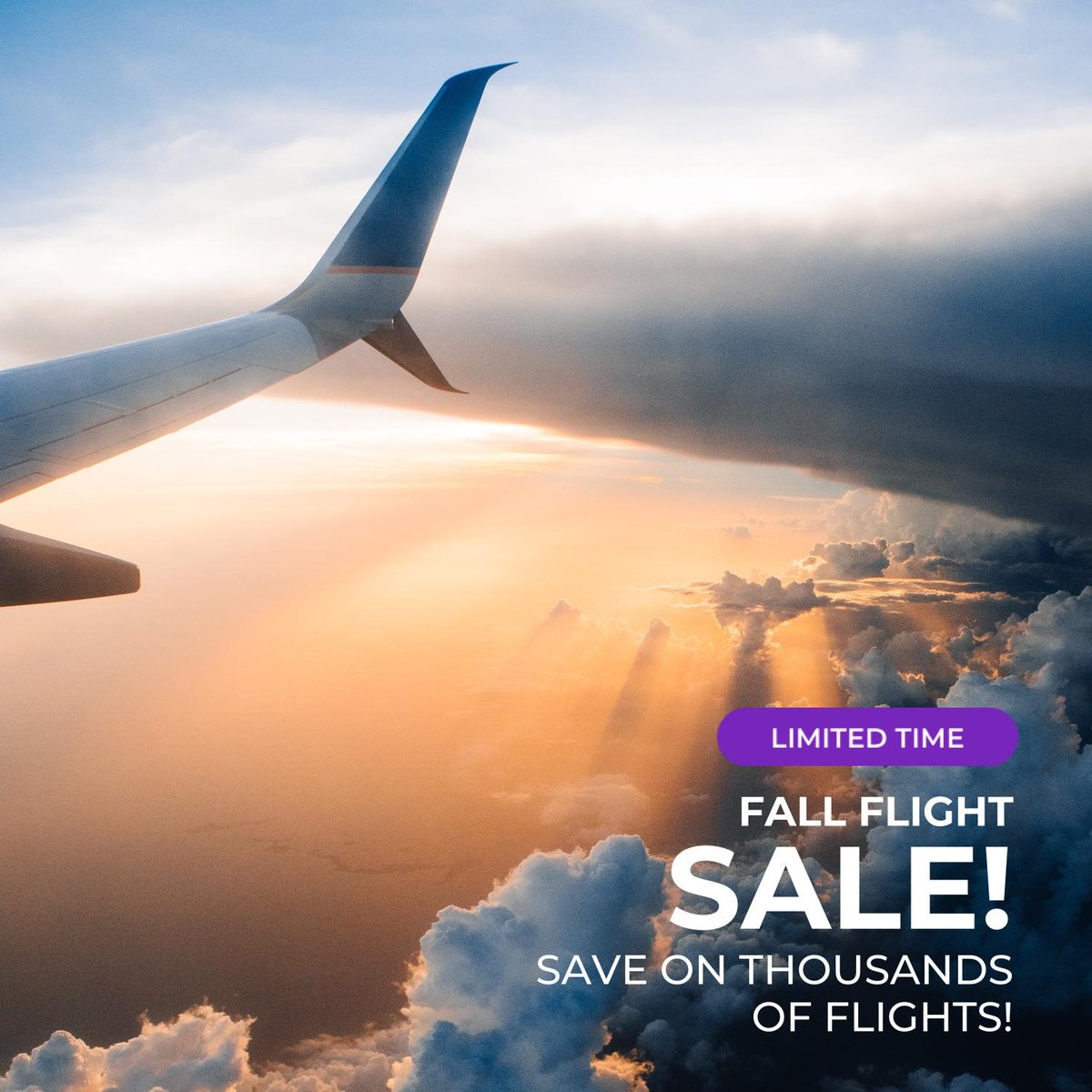 one day only flights
