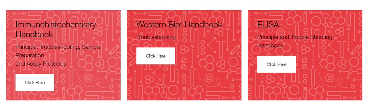 2BScientific's tweet image. We love to know we are providing you with all the resources needed to ensure your research goes to plan from start to finish which is why we have all our #TroubleshootingGuides on our website! 🔬 📝

2bscientific.com/Resources/Trou…

#WesternBlot #IHC #ELISA #HereToHelp