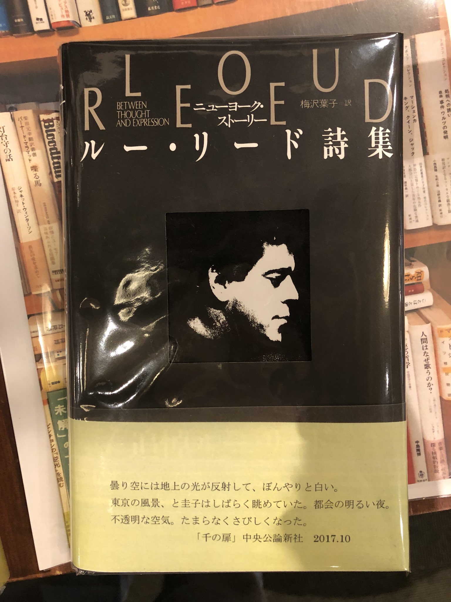 ルーリード詩集 ニューヨークストーリー - その他 ルーリード詩集 ニューヨークストーリー - その他