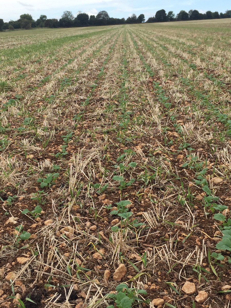 ⁦<a href="/ROilLiquidGold/">R-Oil</a>⁩ NKMolten getting away at last