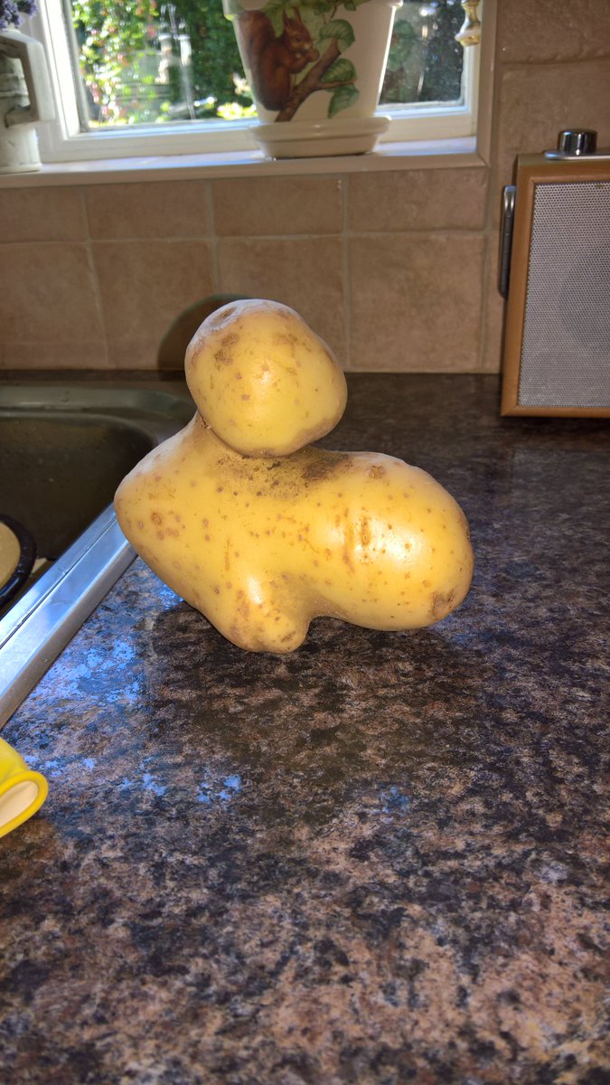 eileenandjoe's tweet photo. #chipoftheday #howtopeelit how did it get through quality control? @brocksbushes @BarneyWitham @CalHalbert @DavisonPhill @DurhamHospRadio @alfiejoey https://t.co/tyWxrdNV02