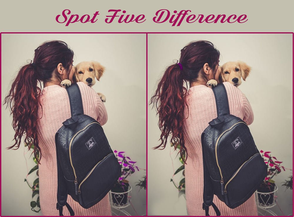 LavieWorld's tweet image. Can you spot the 5 differences? 
#spotdifferences #backpack #doggo #puzzle #game #laviebags