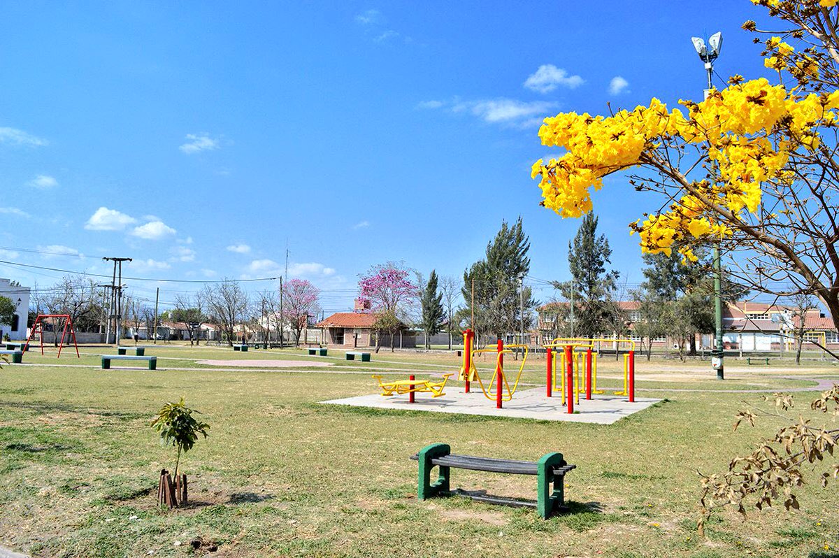 GustavoSaenzOK's tweet photo. Recuperamos más de 50 plazas en distintos barrios de la ciudad. Se realizaron tareas de limpieza, desmalezado, caminería e instalación y arreglo de juegos recreativos. Continuamos trabajando para generar espacios en donde salteños y turistas puedan disfrutar en familia #Salta https://t.co/unggNurW3p