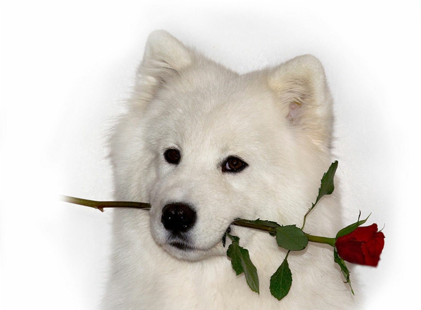 �������� � ���� �������� � ������ �����, ������� ���������� ��������