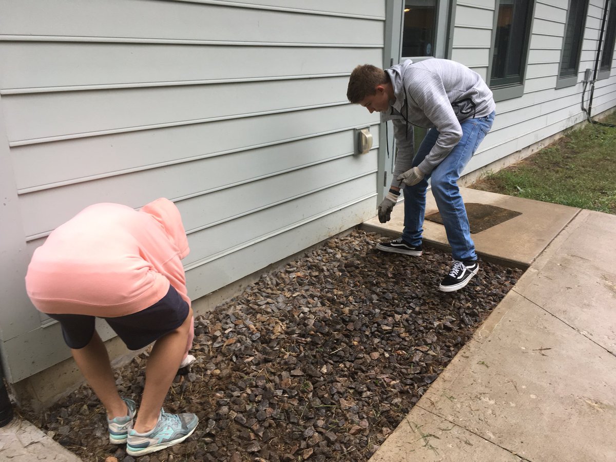 mlane101's tweet photo. Working hard to beautify the humane society! @NHSHuskies https://t.co/z269h1Y47Q